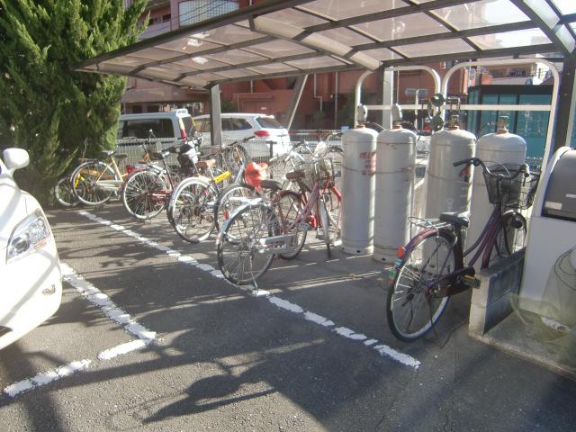 ナリッシュアレイ