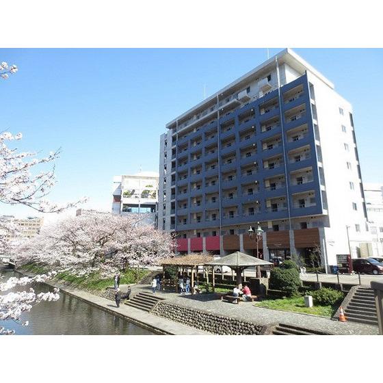 サクラーレ