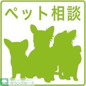 プレザント白金