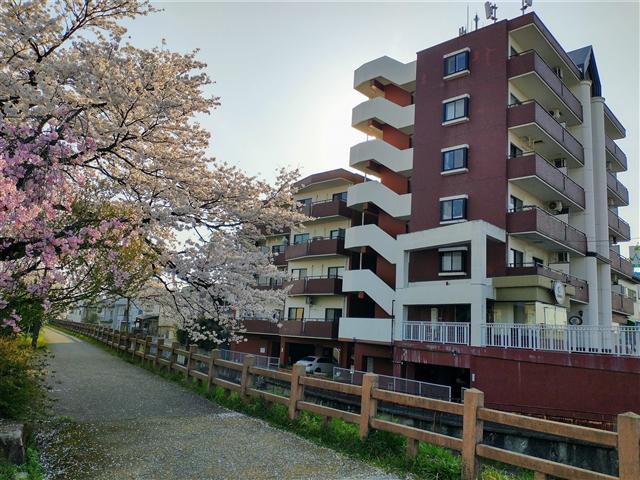 信開ドムス松川