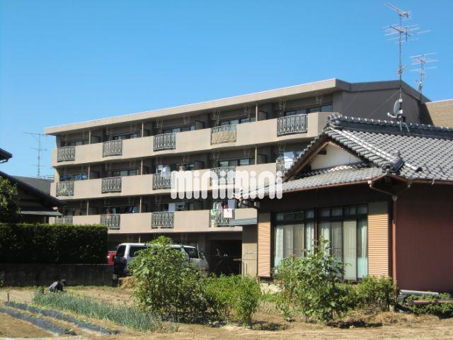 ミラリオ東島