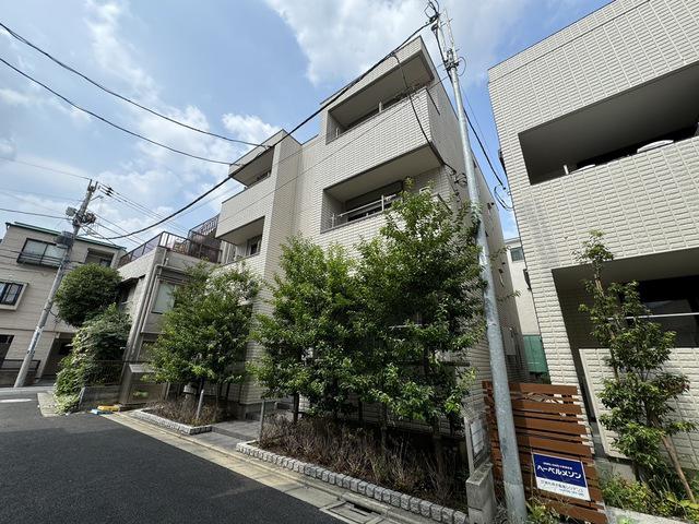 フリージア