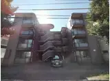 ノースコートN17