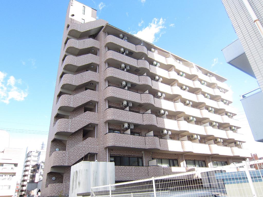IBはら