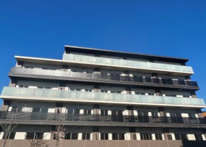 ステラフォレスト