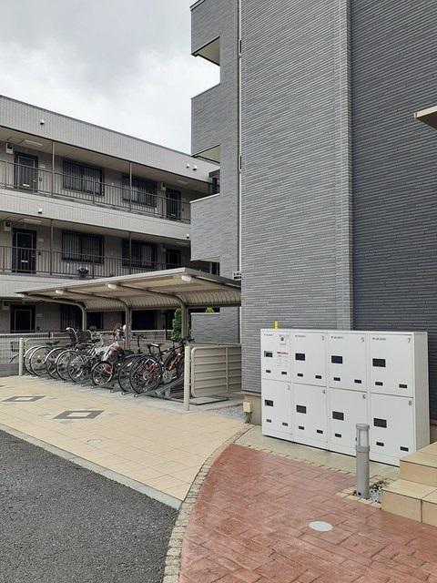 プラシード