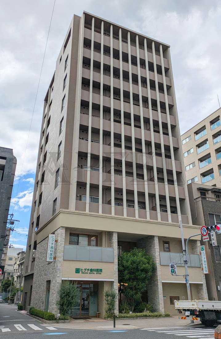 T.Y天六