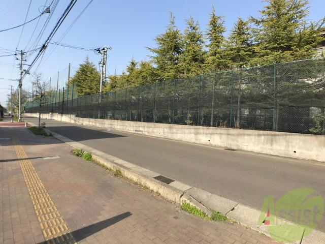 クラレンスホワイトⅠ