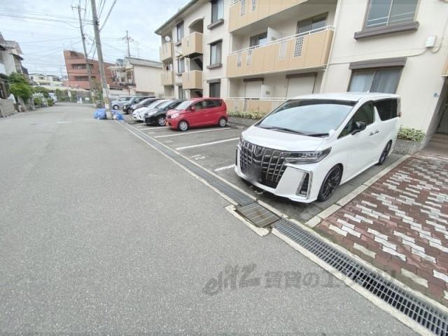 アムールY&N