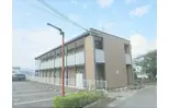 レオネクストシャルマン金岐