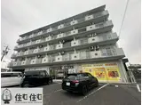 ステップVIII