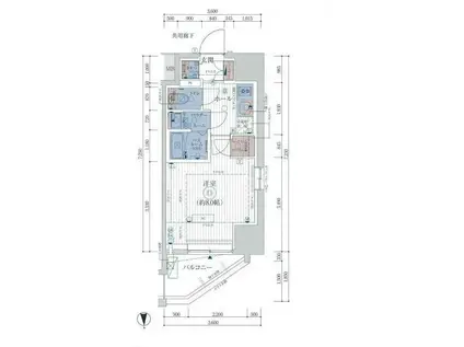ESTEM COURT KAMEIDO TOKYO イースト(1K/13階)の間取り写真