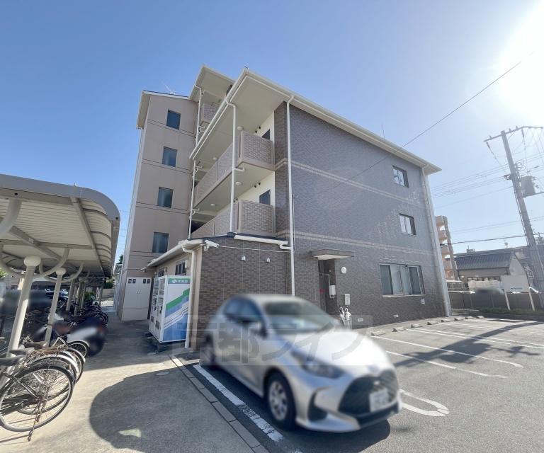 D・マローネ桂