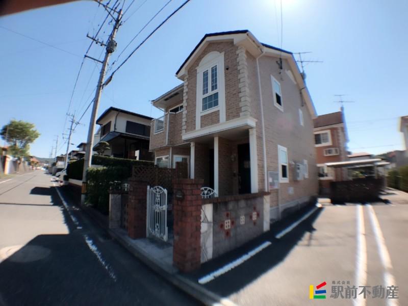 プリムローズD