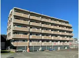 ピュア5高平