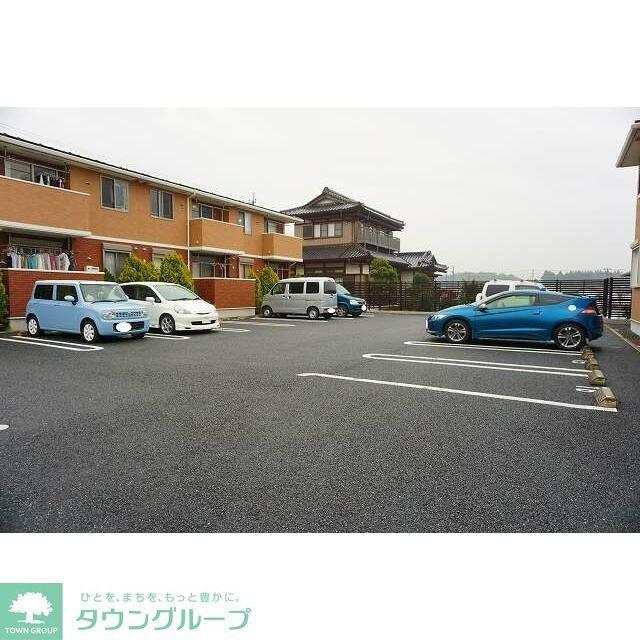 ラベンダー