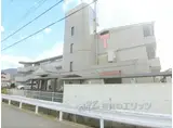 ターンドール西野