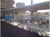 セルサス コロク