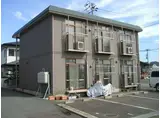 シティハイムラベンダー