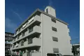 第一パールM住村