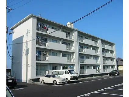 コスモシティ大野原(3DK/4階)の外観写真