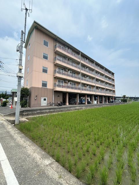 ライフコート