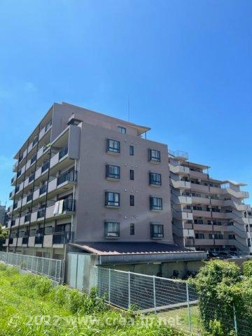 セラード川越霞ヶ関(3LDK/4階)