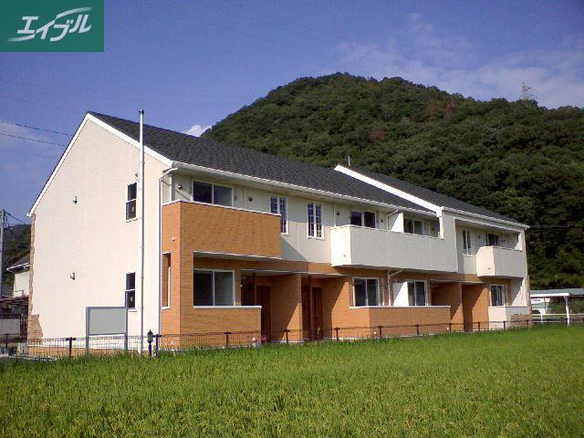 オリーブ