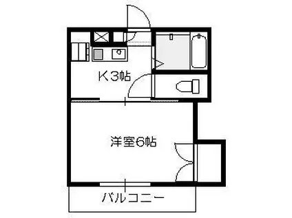 シングルピア五日市(1K/7階)の間取り写真