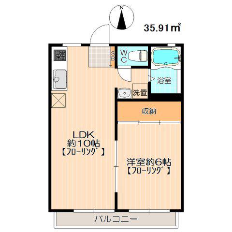 ドミール新松戸(1LDK/1階)の間取り写真
