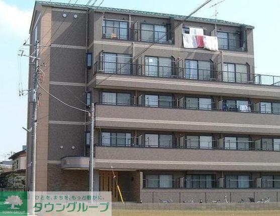 ベリーノ