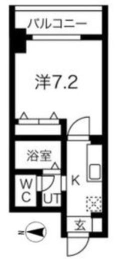 チェルトヴィータ(1K/8階)の間取り写真