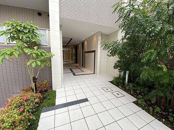 シュトルツ栄