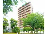 ニューガイアリルーム九大病院前N66