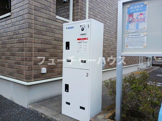 サニープラシードA