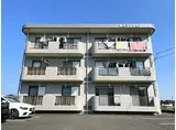 コージーコート