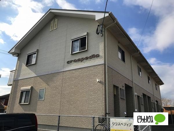 クラスペディア
