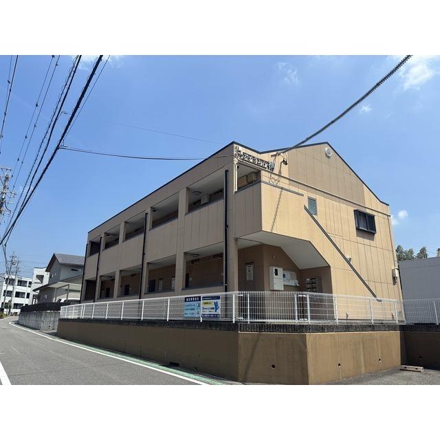 アイランド雅