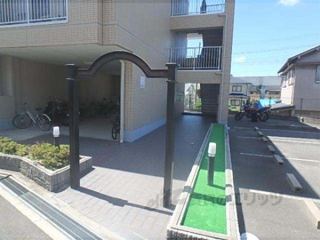 メゾンルミエール