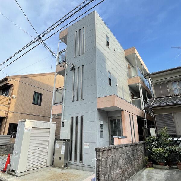 アムール青柳
