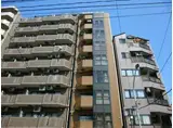 ティーハイムアサカ