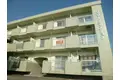 グリーンマンション