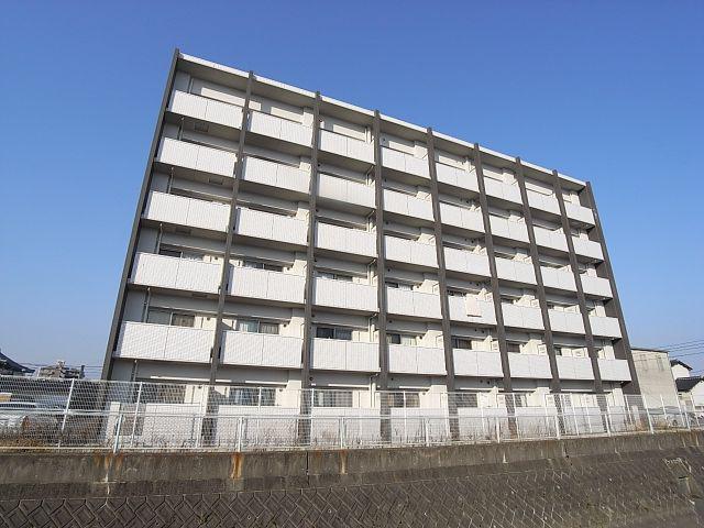 トゥリートップ