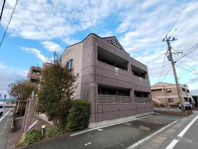 ダンデライオン