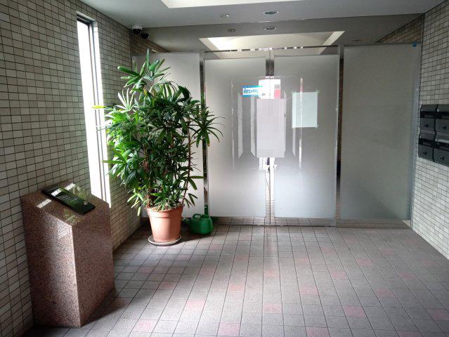 ヴェルドミール