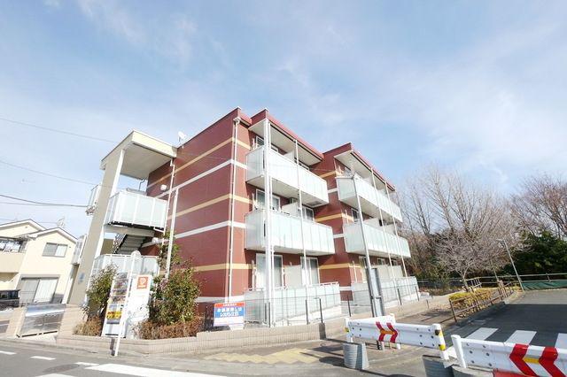 レオネクストレグルス