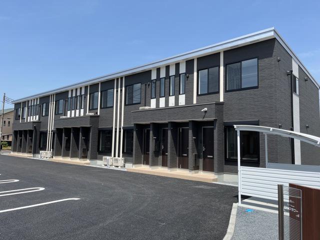 サンフラワー 107