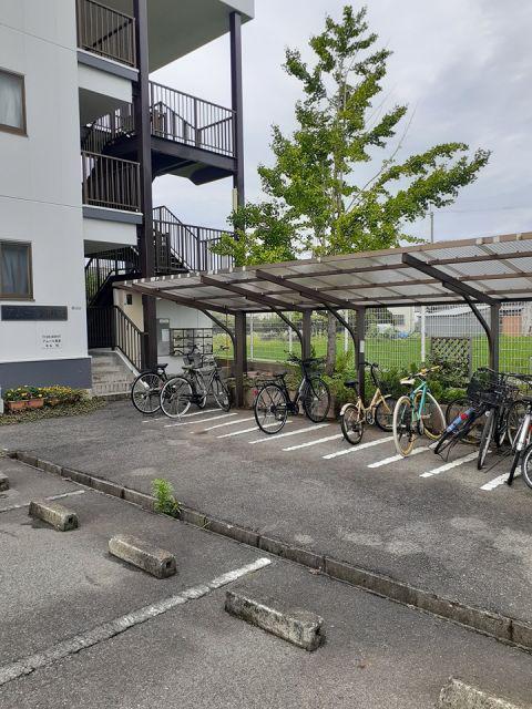 アムール和泉