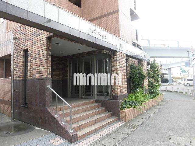 NEW PLACE