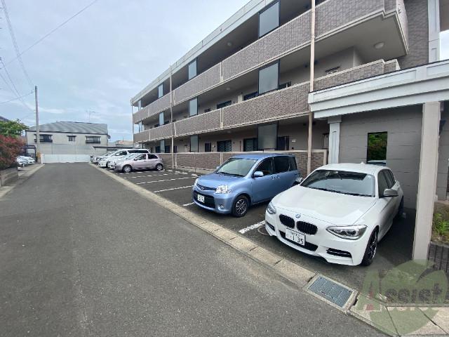 シャトル・ステージ二の森